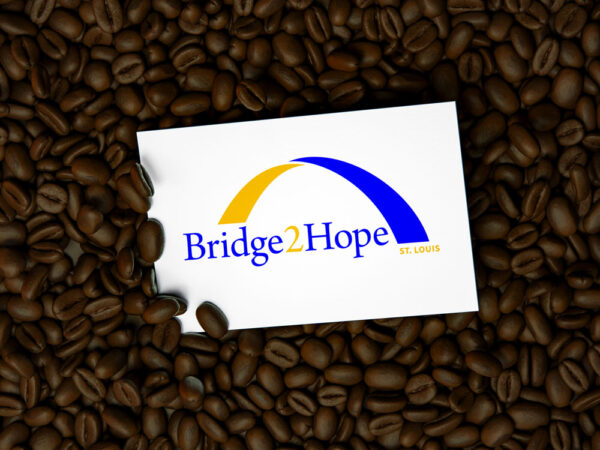 Bridge 2 Hope