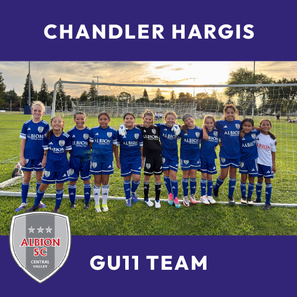 Chandler Hargis - GU11 Team